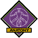 massage therapy medical professionals-anatomy logo.gif